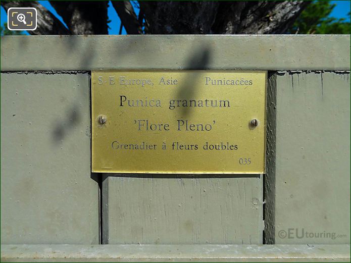 Tourist info plaque on green pot 35, Jardin du Luxembourg