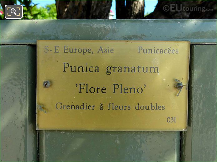 Tourist info plaque on pot 31 in Luxembourg Gardens