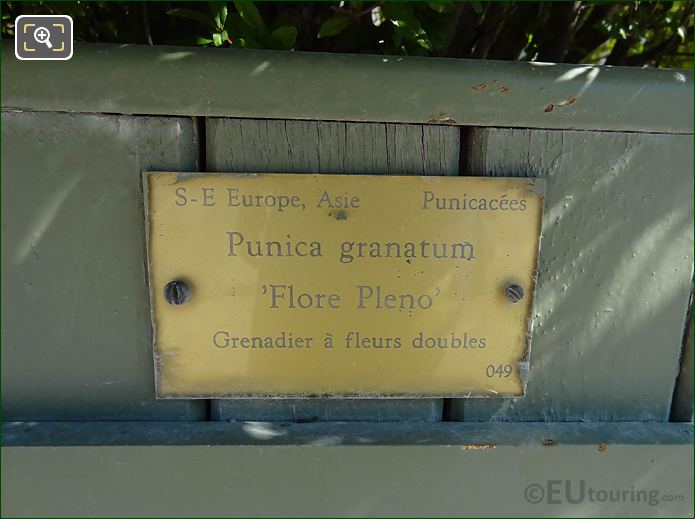 Punica Granatum info plaque for pot 49 in Jardin du Luxembourg