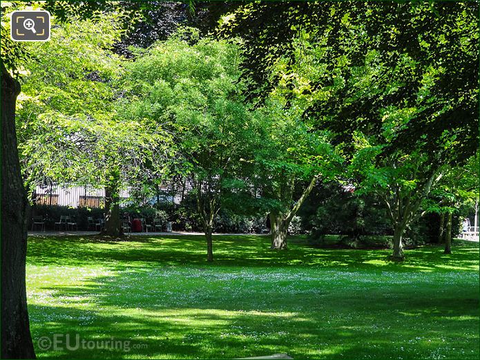 Luxembourg Gardens West side grass area and trees