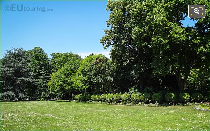 Topiary style round bushes in Jardin du Luxembourg