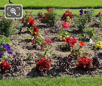 French garden flowerbed in Jardin du Luxembourg