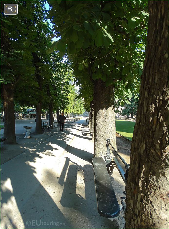 Luxembourg Gardens East Allee with trees and park benches