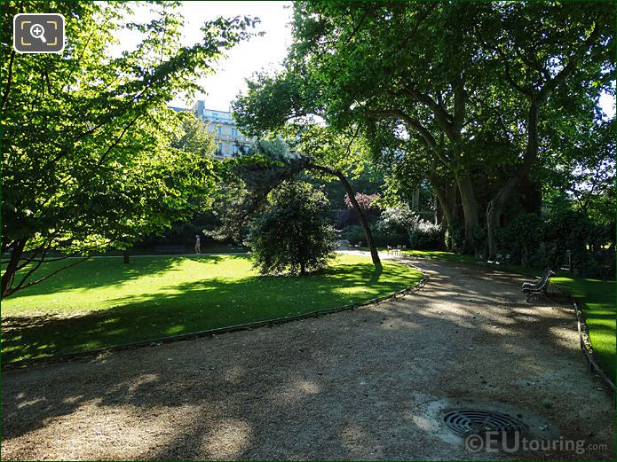 Tree growing at 45 Degrees in Jardin du Luxembourg