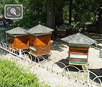 Colour coded Beehives in Jardin du Luxembourg