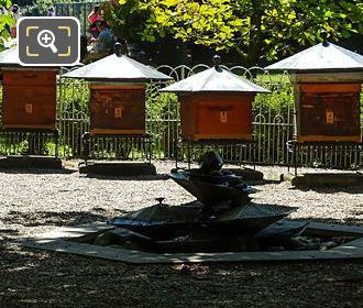 Beehives and bee water fountain in Jardin du Luxembourg