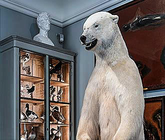 Musee de la Chasse et de la Nature Polar bear