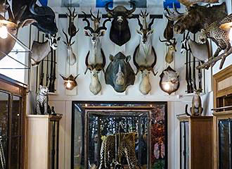 Trophy room at Musee de la Chasse et de la Nature