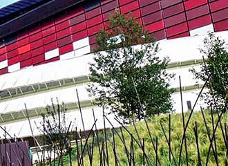 Grass mound at Musee du Quai Branly