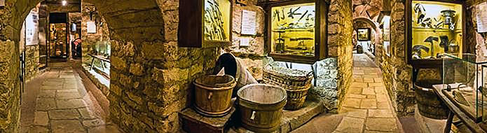 Wine cellars within Musee du Vin