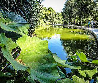 Pond inside Parc de Bercy