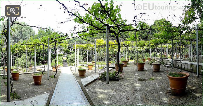 Jardin de la Treille within Parc de la Villette