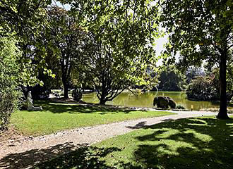 Parc Montsouris trees