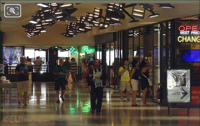 Shopping on Avenue des Champs Elysees