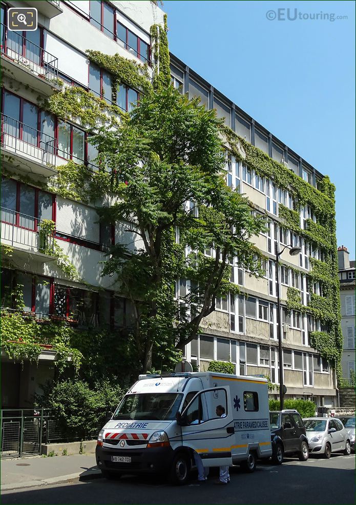 Tree And Vines growing over Centre Cassini Paris