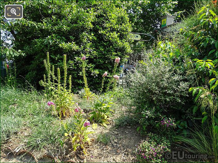 Square Claude Nicolas Ledoux flowers and shrubs