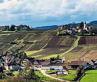 Burgundy Region