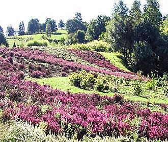 Limousin countryside