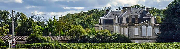 Aquitaine region vineyard