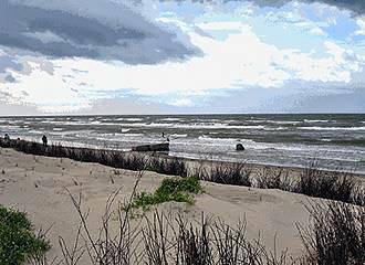 Nord Pas de Calais sand dunes