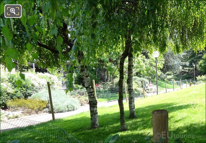 Trees, plants and flowers in Square Bela Bartok