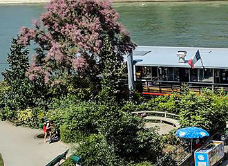 Square du Vert Galant shrubs