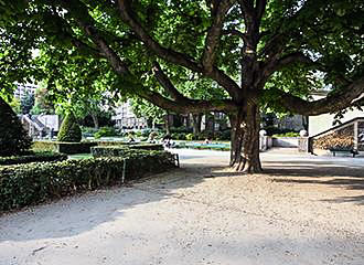 Square Rene le Gall large tree