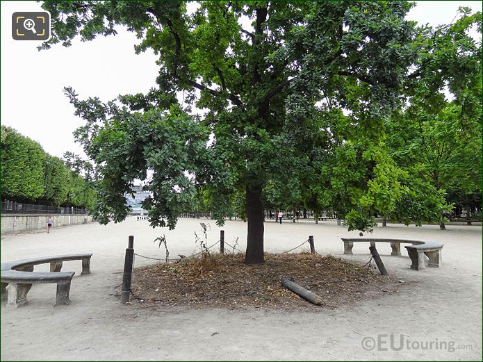 Le Chene de la Republique Oak tree Monument