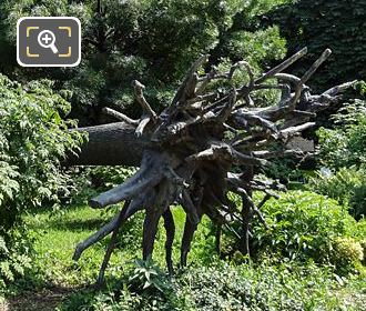 L'Arbre des Voyelles sculpture in Jardin des Tuileries