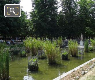 Jardin des Tuileries south pond with Venus Callipyge statue