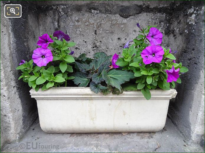 Flowers for Raymond Mestracci WW II Memorial, Paris