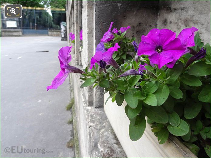 Flowers in sandstone recess at Michel Mouchet Memorial