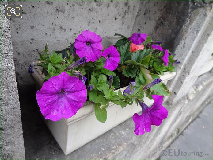 Plant pot and flowers at Georges Bailly Memorial