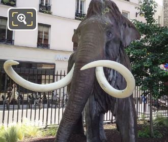 Front of woolly mammoth sculpture