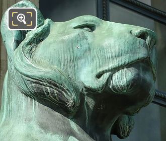 Head of RHS bronze lioness statue Porte Jaujard