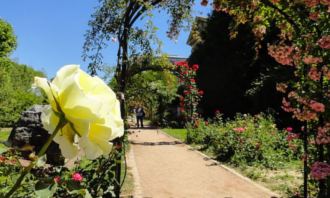 Images of Jardin des Plantes