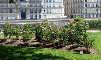 Images of Square de l'Ile-de-France