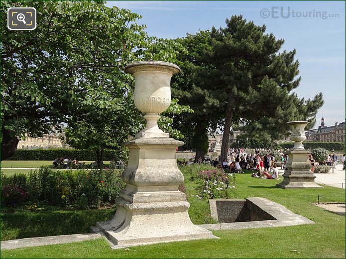 Pin de Corse tree, Demi-lune Reserve Nord, Jardin des Tuileries