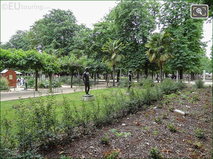 Replanting in Grand Couvert area, Tuileries Gardens looking South