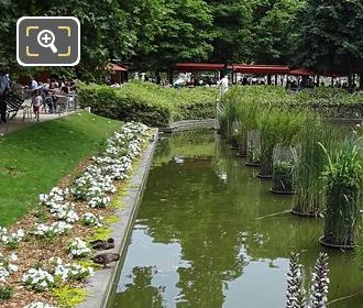 Jardin Tuileries Exedre Nord pond aquatic plants