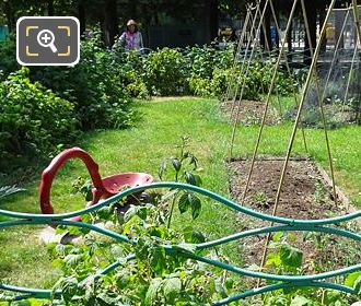 Potager fence in Jardin des Tuileries