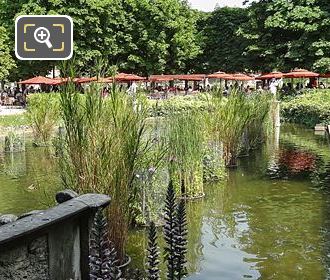 Aquatic plants Exedra South Pond