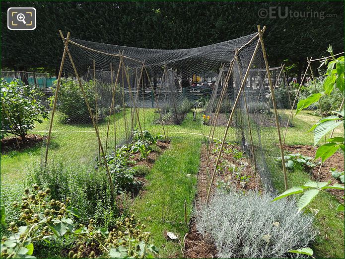 Vegetable plant covers at Jardin des Tuileries Potager