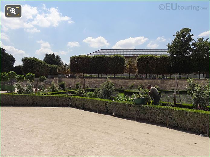 Rosaraie Sud Jardin des Tuileries looking SW