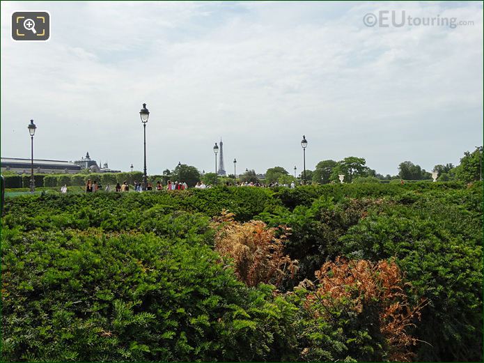 Jardin du Carrousel Boxwood hedges, Tuileries Gardens looking SW