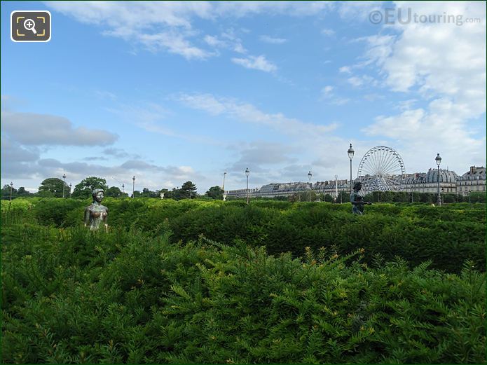 Boxwood Hedges, statues Tuileries Gardens looking NW