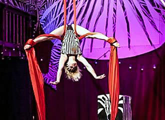 Zebre de Belleville Circus Cabaret